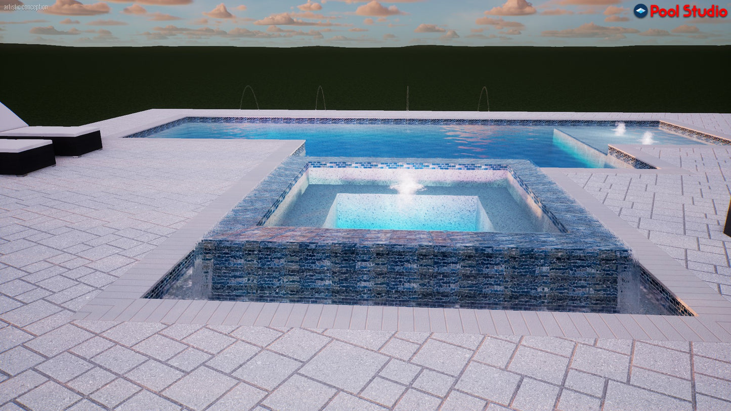 "Dorn" LUXURY CUSTOM 3D POOL DESIGN FOR POOL BUILDER CLIENT